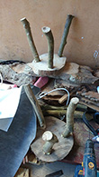 natural edge wood